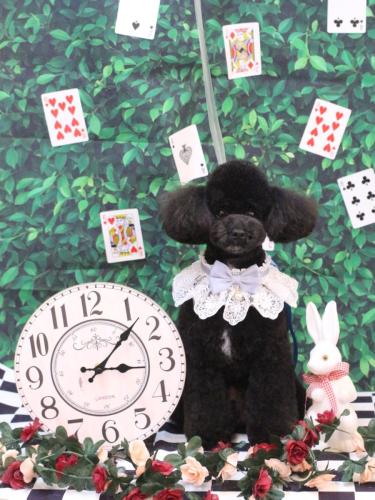 20250403コアくん